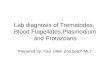 Lab diagnosis of Trematodes,  Blood flagellates, Plasmodium and Protozoans