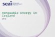 Renewable Energy in Ireland 2012 report launch