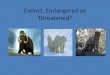 Extinct, endangered or threatened