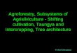 Agroforestry systems and architecture