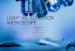 Light microscope vs. Electron microscope