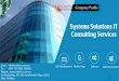 Systems solutions,IT Business Proposals and also Needed Marketing Partners Worldwide