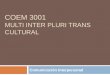 COEM 3001 MULTI INTER PLURI TRANS