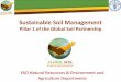 Sustainable Soil Management Pillar 1 of the Global Soil Partnership - Sally Bunning