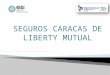 Presentacion Seguros Caracas 2016