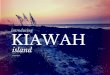 Mark DeWitt Presents: Welcome to Kiawah Island