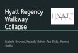 PowerPoint report of Hyatt Regency Walkway Collapse of 1981