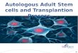 Autologous stem cells and transplantation process