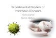 Experimental Models of Infectious Diseaase
