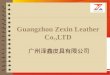 Guangzhou Zexin Leather Co.,ltd--PPT
