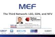 The Third Network: LSO, SDN and NFV