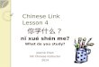 Chinese link textbook Lesson 4 sentence patterns