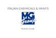 Mg Group - Italian paints and chemicals