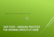 Safe food – handling practices for growing sprouts