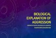 Genetic explanation of aggression