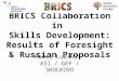 BRICS - Skills development areas