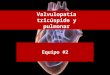 Valvulopatía tricúspide y pulmonar