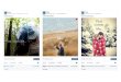 Zoosk Facebook Post Highlights (By Jeet)