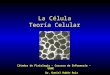 La célula. Teoria celular