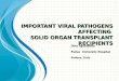 Viral infections in transplantation