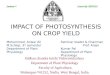 Impact of photosynthesis on crop yield