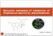 Molecular mechanism of inhibition of streptococcus species by phytochemical