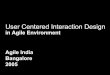 User Centered Interaction Design In Agile Environment