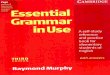 Essential grammar in_use_book