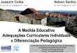 Apresentação Covilhã - "A Medida Adequações Curriculares Individuais e Diferenciação Pedagógica"