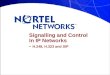 Signalling and Control In IP Networks: H.248, H.323 and SIP