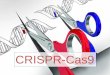 NCER Position on Crispr-Cas9