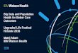 Big Data and Population Health for Better Care Outcomes. Matej Adam, IBM Watson Health