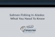 Salmon Fishing In Alaska
