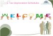 Tax depreciation schedules