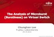 The analysis of Microburs (Burstiness) on Virtual Switch