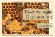 Towards Agile Organisations