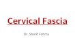 Cervical Fascia & Posterior Triangle (Anatomy of the Neck)
