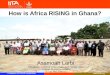 Cassava Breeding Research: meeting the needs of Nigerian farmers