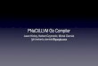 PNaCl/LLVM Go Compiler