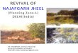 Najafgarh Jheel (Lake) Revival, Delhi (India)