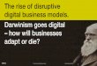 Evolution and digital design business models