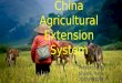 China agricultural extension system