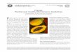 Papaya: Postharvest Quality-Maintenance Guidelines