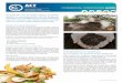 Commercial composting guide