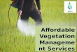 Affordable Vegetation Management Services