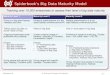 Big Data Maturity Model