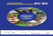 2015-2016 GEM ASEAN Report
