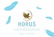Portfolio Horus Company