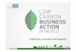 SPRI. Iniciativas de colaboración con Latinoamérica. Low Carbon Business Action (LCBA) in Mexico