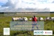 EIP Agricultura d'Alt Valor Natural Horizon 2020 - Jornada ConnectEU 2015 - ACCI0